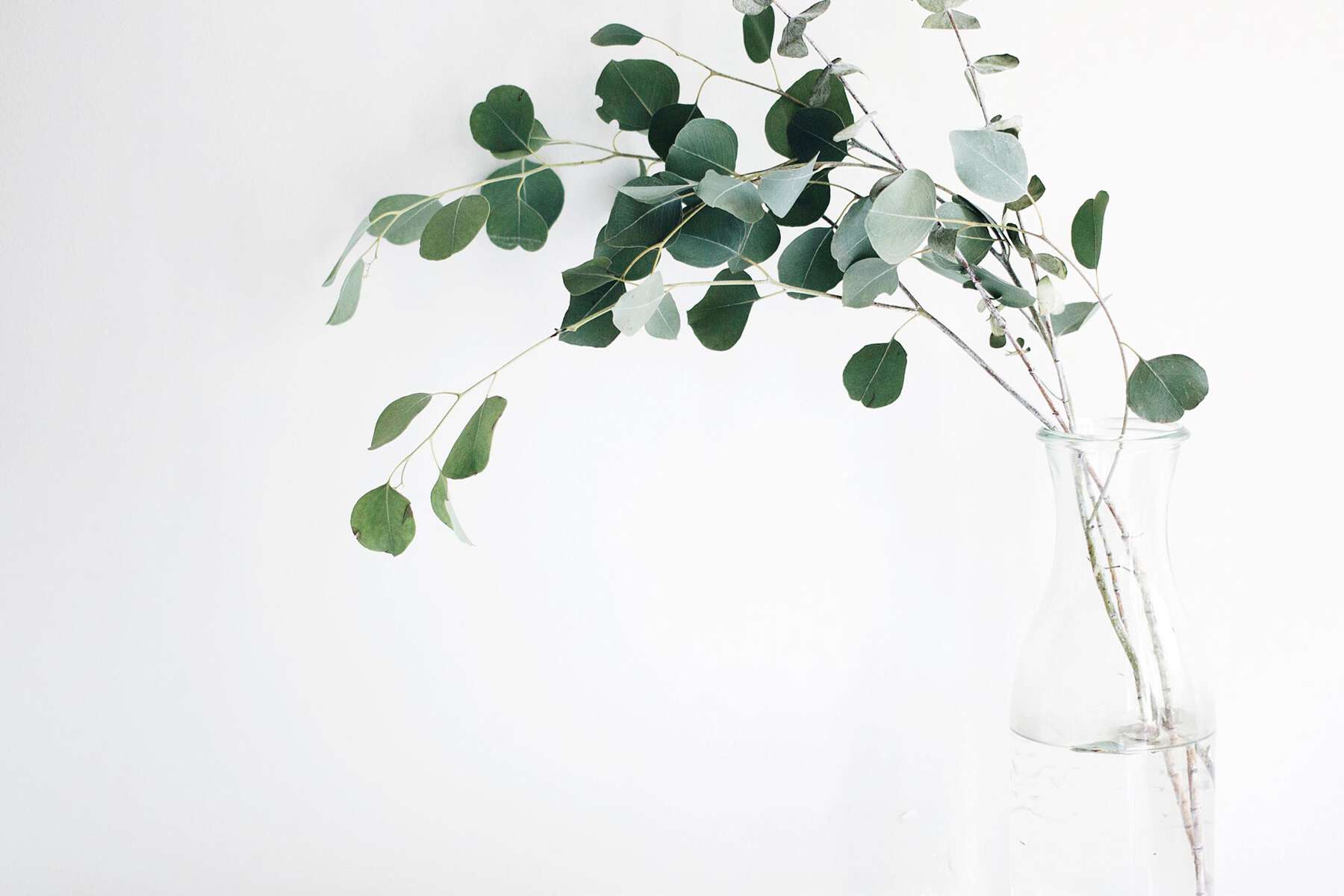 Simple Health. Deep Care.